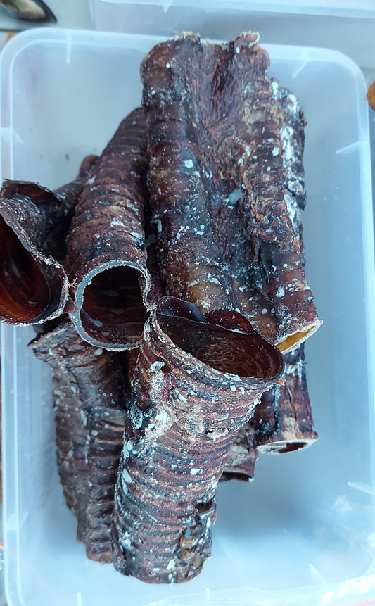 Moo Tube $7.50ea